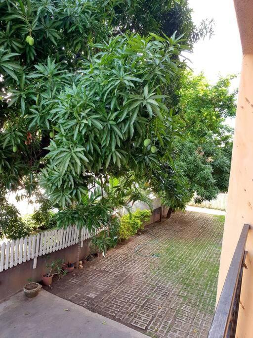 Central Upscale New Kingston Apt With Pool Екстер'єр фото