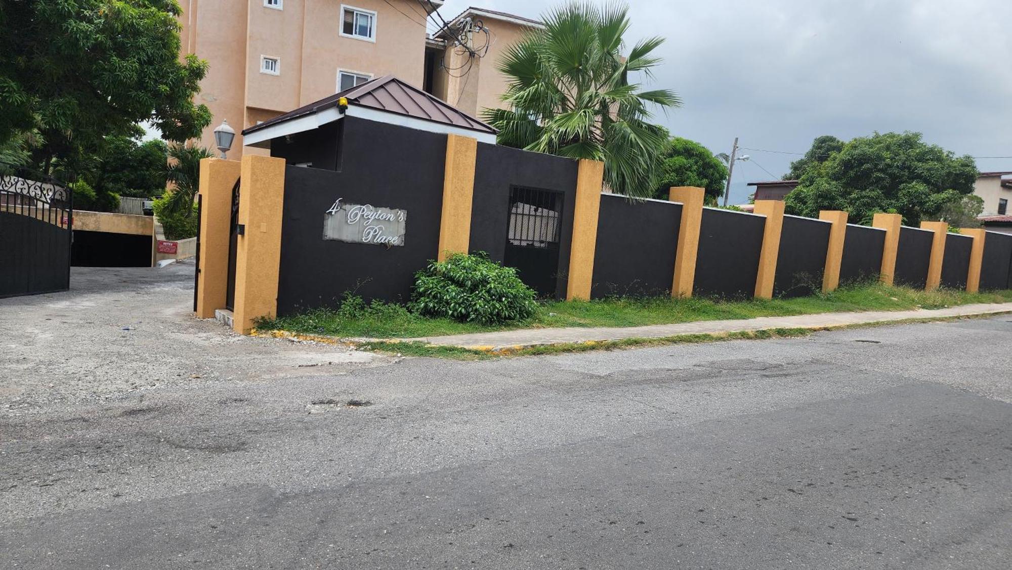 Central Upscale New Kingston Apt With Pool Екстер'єр фото